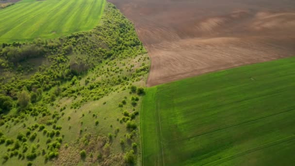 Αεροφωτογραφία Drone Όμορφη Αγροτική Περιοχή Πράσινα Λιβάδια — Αρχείο Βίντεο