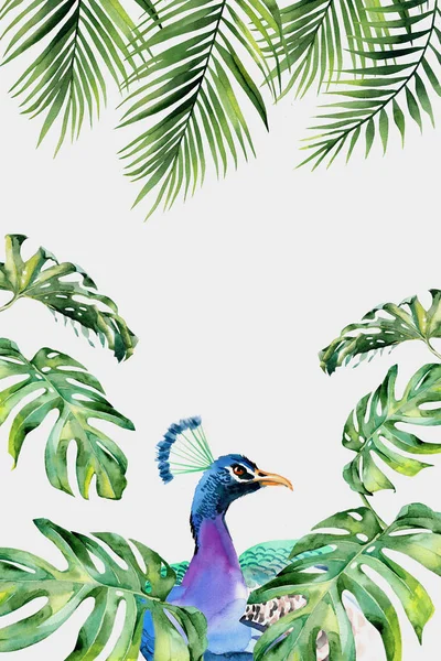 3d mural paint illustration background with flowers , decorative and green branches wallpaper . colored peacock . portrait