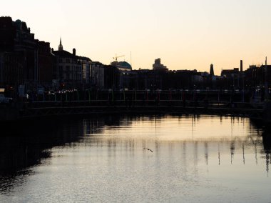 Nehirle Dublin manzarası