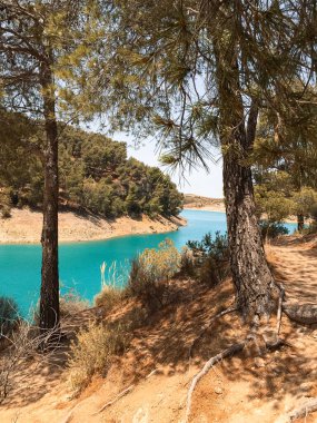 İnsanlar yazın gölün tadını çıkarırken ağaçların tepesinden göle doğru yükselen manzara. Ardales, Malaga.