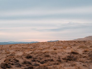 Güneşli bir günde Mojave tatlısı..