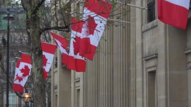 4 bin. Ultra HD. Londra 'nın merkezinde Kanada bayrakları var. Londra 'da çoğu gün yağmur yağar..