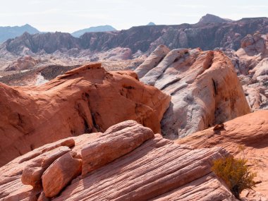 Ateş Vadisi 'nde ateş dalgaları. Dünyanın dört bir yanından turistlerin geleceği doğal park..