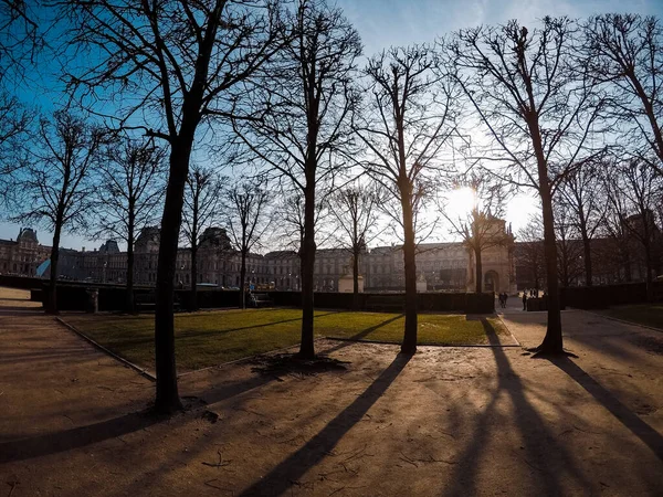 Paříž Francie Ledna 2018 Pohled Pařížských Parků — Stock fotografie