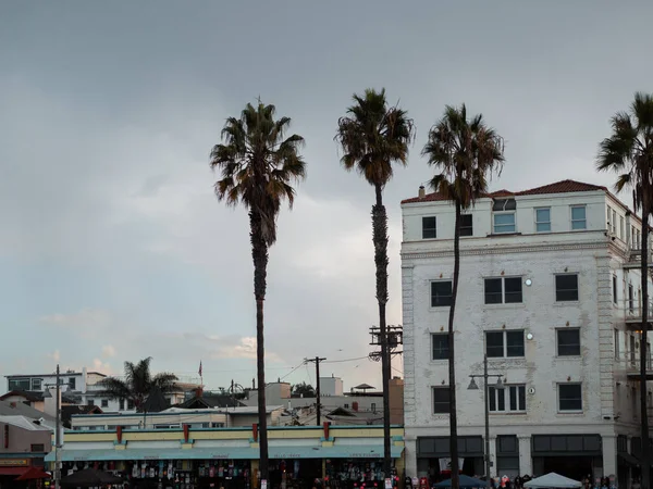 Santa Monica, ABD - 25 Kasım 2019 Venedik sahilindeki kaykay parkında insanlar plajın yanında kayıyor. En tanınmış kaykay parkı..