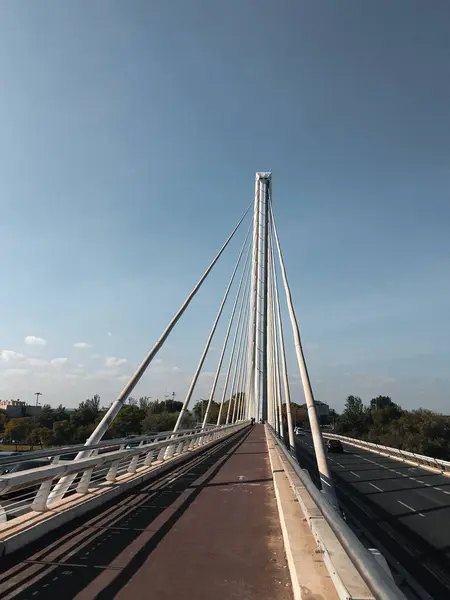 Most Alamillo Který Nachází Seville Překračuje Řeku Guadalquivir — Stock fotografie