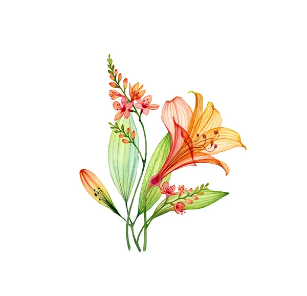 Buquê de lírio transparente aquarela com freesia e folhas. Flores tropicais coloridas isoladas em branco. Ilustração floral botânica para design de casamento, embalagem cosmética, publicidade — Fotografia de Stock