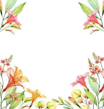 Şeffaf zambak ve frezya ile suluboya çiçek çerçevesi. Beyazda izole edilmiş renkli tropikal çiçekler. Düğün tasarımı, afişler, reklamlar için botanik illüstrasyon