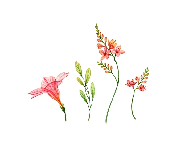 Aquarell-Set aus transparenter Hibiskusblüte, Freesie und Blättern. farbenfrohe tropische Kollektion isoliert auf weiß. botanische florale Illustration für Hochzeitsdesign, Kosmetikverpackungen, Werbung — Stockfoto