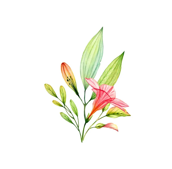 Bouquet aquarelle avec fleur et feuilles d'hibiscus transparentes. Plantes tropicales colorées isolées sur blanc. Illustration florale botanique pour la conception de mariage, emballage cosmétique, publicité — Photo