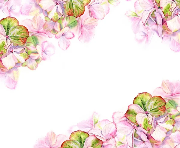 Cadre aquarelle Hortensia rose. Grandes fleurs d'hortensia détaillées avec couleur vert pastel. Illustration florale dessinée à la main sur fond blanc pour la conception de mariage, bannières, lettrage — Photo