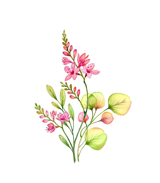 Aquarel transparant rood freesia bloemen en eucalyptus tak. Kleurrijk tropisch boeket geïsoleerd op wit. Botanische bloemen illustratie voor bruiloft ontwerp, cosmetische verpakking, reclame — Stockfoto