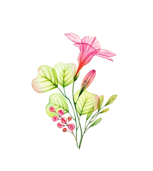 Акварель прозора квітка гібіскуса, евкаліпт та ягоди. Барвистий тропічний букет ізольований на білому. Ботанічна квіткова ілюстрація для весільного дизайну, косметичної упаковки, реклами — стокове фото
