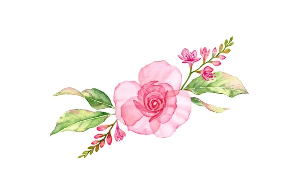 투명 한 장미 부케. 수채화는 프리시아 꽃 과 열매와 잎으로 되어 있다. 결혼 디자인, 광고, 인사 카드를 위해 손으로 식물학적 삽화를 그린 모습 — 스톡 사진