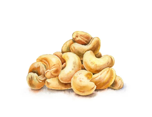 Aquarell-Cashewnüsse. handgezeichnete Illustration von Lebensmitteln isoliert auf weiß. Realistisches Element für Rezepte, Etiketten, Banner — Stockfoto