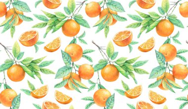 Portakal ağacı pürüzsüz desen. Olgun meyveli suluboya dalı. Beyazda izole edilmiş gerçekçi botanik çiçek yüzey tasarımı. Tekstil ve duvar kağıtları için el çizimi illüstrasyon