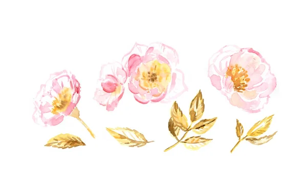 Aquarelle Croquis rose avec des fleurs, des bourgeons et des feuilles dorées. Illustration botanique peinte à la main. Ensemble d'éléments de design isolés pour logo, mariage, cartes de vœux — Photo