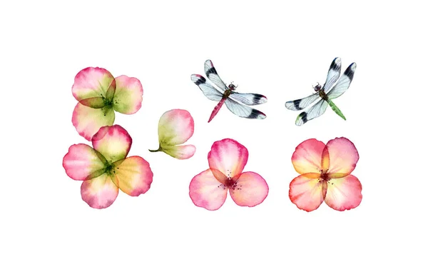水彩花集与五彩缤纷的夏季花和蜻蜓。 设计被白色隔离的物体。 结婚请柬、贺卡的植物学夏季图解 — 图库照片