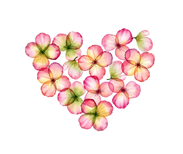 수채화로 가득 한 꽃들. 투명하게 겹치는 꽃잎들 이 흰색으로 분리되어 있습니다. 성인 발렌틴의 날 인사 카드, 결혼 초대장을 위한 식물적 인 꽃 삽화. — 스톡 사진