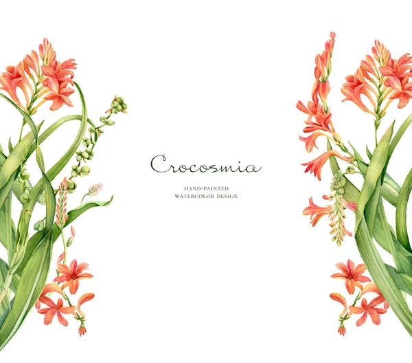 Aquarel bloemenbanier. Kleurrijke crocosmia bloem geïsoleerd op wit en plaats voor tekst. Realistische botanische illustratie voor bruiloft ontwerp, cosmetica, reclame — Stockfoto