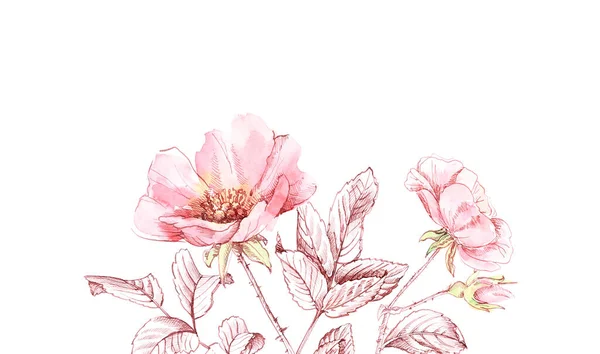 Aquarelle Rose bordure de bouquet. Bannière botanique dessinée à la main avec place pour le texte. Grandes fleurs avec des feuilles d'encre isolées sur blanc pour les cosmétiques, mariage, cartes de vœux — Photo