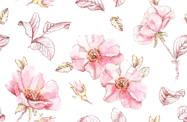 Watercolor Briar flowers seamless pattern. Botanic hand drawn illustration. Rose leaves, buds and ink leaves on white for wedding, surface, textile, wallpaper design — 스톡 사진