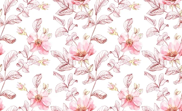 水彩ブライアの花のシームレスなパターン。バラの葉、芽、インクの葉。結婚式、表面、テキスタイル、壁紙デザインのための植物性の手描きイラスト — ストック写真
