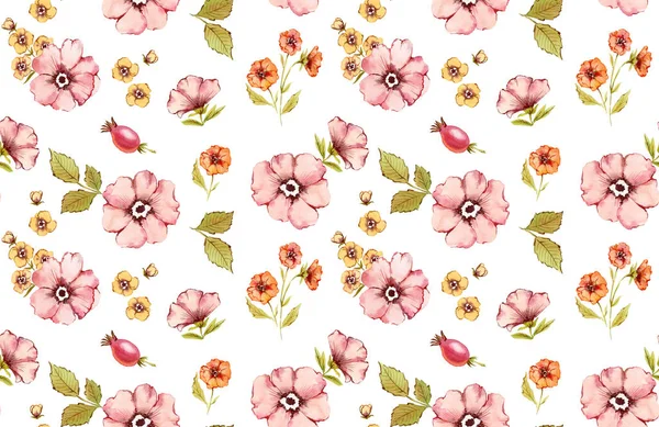 水彩の花のシームレスなパターン。秋の植物。ピンクの花:白い背景に孤立したバラのヒップフルーツ、ブライアー、葉。ヴィンテージスタイルで手描きの植物イラスト — ストック写真