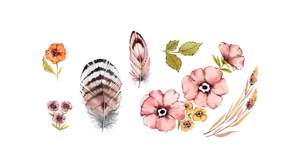 Aquarela coleção floral rústica. Flores silvestres rosa e dourada: rosa quadril, briar, folhas, penas, isolado no fundo branco. Elementos de design pintados à mão. Ilustração natural em estilo vintage — Fotografia de Stock