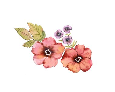 Suluboya çiçek kompozisyonu. Kırsal pembe çiçek buketi: gül kalçası, çatal, yapraklar, beyaz arka planda izole edilmiş. Klasik renklerle elle boyanmış doğal tasarım. 