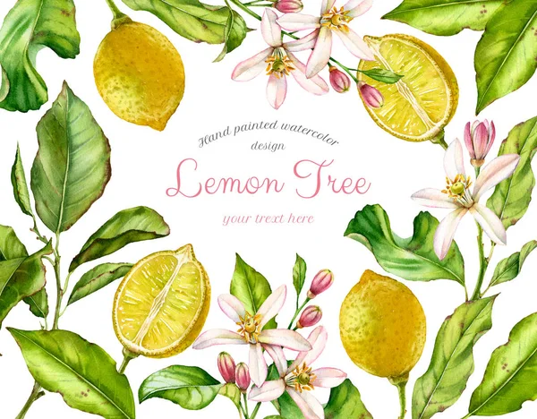 Watercolor Lemon fruits. Frame with branches, flowers, leaves. Realistic botanical watercolor banner with citrus tree isolated on white. Fresh tropical food design with text for label