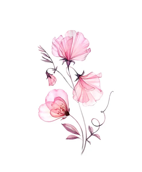 Akwarela kompozycja kwiatowa. Słodki groszek z kwiatem róży. Sztuka odizolowana na białym. Ręcznie malowane ilustracje do zaproszeń ślubnych, kartki okolicznościowe — Zdjęcie stockowe
