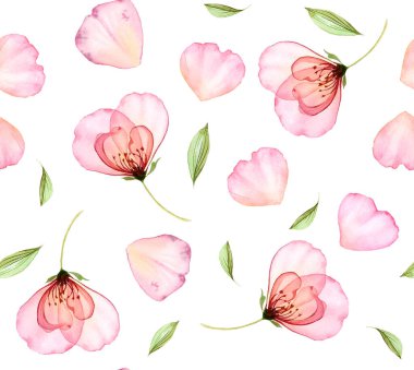 Suluboya dikişsiz çiçek deseni. Şeffaf güller ve uçan yapraklar. Duvar kağıdı tasarımı, tekstil ve kumaş için renkli çiçeklerle izole edilmiş el çizimi