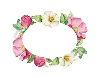 Kamelya çiçekli suluboya çerçeve ve gül kalçalı. Oval bayrak ve metin için yer. Gerçekçi yapraklar ve dikenli çiçekler. Düğün tasarımı, kozmetik ürünleri, reklamcılık için botanik illüstrasyon