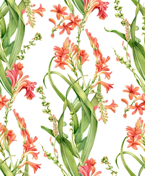 Acquerello modello senza soluzione di continuità. Fiori di crocosmia in fiore. Colorato disegno floreale tropicale isolato su bianco. Illustrazione floreale botanica per carta da imballaggio, tessile, carta da parati — Foto Stock