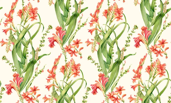 Aquarel naadloos patroon. Crocosmia bloemen in bloei. Klassiek vintage bloemmotief op beige achtergrond. Botanische bloemen illustratie voor inpakpapier, textiel, behang — Stockfoto