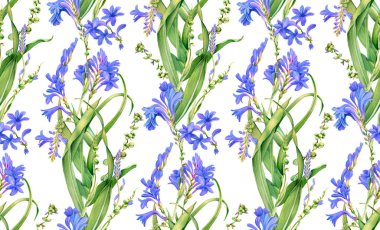 Suluboya kusursuz desen. Çiçek açmış mavi çiçekler. Beyazda izole edilmiş renkli tropikal çiçek tasarımı. Ambalaj kağıdı, tekstil, duvar kağıdı için botanik çiçek çizimi