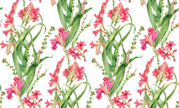 수채 색 물감없는 패턴. 분홍빛 꽃이 핀다. 흰색에는 다채 로운 열 대의 꽃 모양 이 고립되어 있다. 종이, 직물, 벽지를 싸기 위한 식물성 꽃 삽화 — 스톡 사진