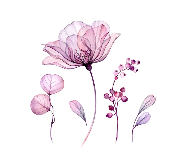 Акварель цветочный набор изолирован на белом. Прозрачная коллекция роз листьев, ягод, веток в пастельно-розовом, сером, фиолетовом, фиолетовом. Ботаническая иллюстрация для свадебного дизайна, поздравительные открытки — стоковое фото