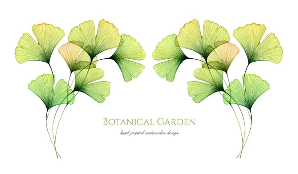 Acuarela fondo floral. Banner horizontal con hojas verdes transparentes y lugar para el texto. Obra de arte pintada a mano con árbol Maidenhair. Ilustración realista y botánica — Foto de Stock