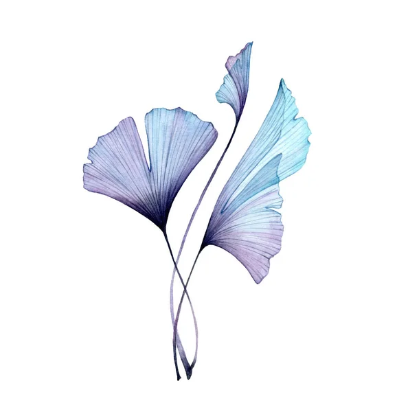 Suluboya soyut bir dal. Beyaz üzerinde şeffaf mavi yapraklar. Gingko ağacıyla elle boyanmış sanat eserleri. Düğün kartı tasarımı için gerçekçi ve botanik çizimler — Stok fotoğraf