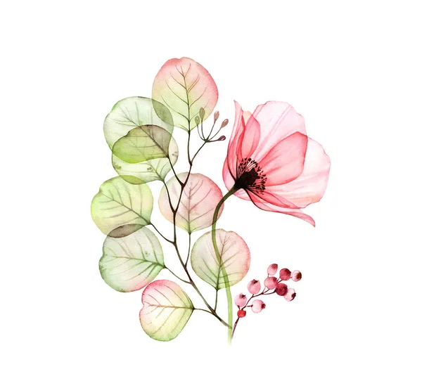 水色のバラの配置。ユーカリの葉と果実が白い上に隔離された大きなピンクの花。x線の花で手描きのアートワーク。カード、結婚式のデザインのための植物イラスト — ストック写真