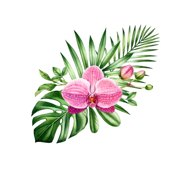 Akvarell trópusi csokor. Rózsaszín orchidea és pálmalevél elrendezése. Kézzel festett trópusi háttér. Botanikai illusztrációk elszigetelt fehér. — Stock Fotó