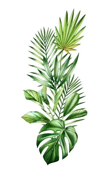 熱帯の花束の水彩。垂直配置のジャングルの緑。エキゾチックなヤシの葉、モンスター、白に隔離された。植物手描きイラスト — ストック写真