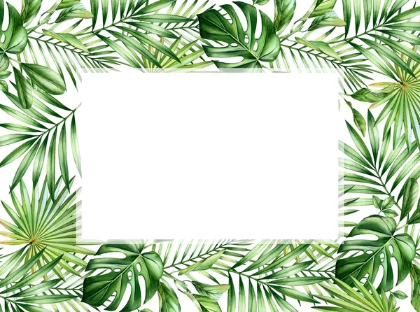 Watercolor tropical banner. Horizontal frame with palm and monstera leaves, place for text. Hand painted card template. Realistic botanical illustrations isolated on white