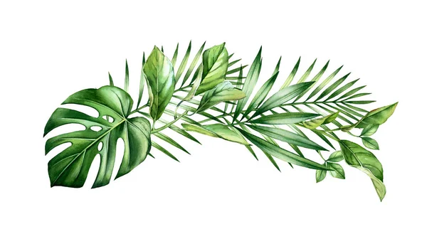 Arco de acuarela de hojas tropicales. Selva verde en disposición horizontal. Ramas de palma exóticas, monstera, aisladas en blanco. Ilustración botánica dibujada a mano —  Fotos de Stock