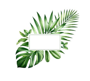 Suluboya tropikal buket. Orman yeşili çerçeve ve yer veya metin. Egzotik palmiye yaprakları, canavarımsı, beyaz tenli. Logo, düğün, kartlar için botanik el çizimi