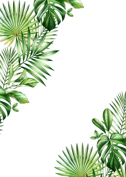 Watercolor tropical background. Vertical frame with palm and monstera leaves in corners, place for text. Hand painted A5 card template. Realistic botanical illustrations isolated on white