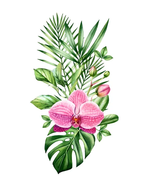Watercolor Orchid bouquet. Big Pink flower and palm leaves in vertical arrangement. Hand painted tropical background. Botanical illustrations isolated on white