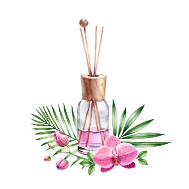 Suluboya hava tazeleyici orkide şişesi kokusu. Ahşap sopalı pembe sıvı. Beyaza izole edilmiş spa ve kozmetik ürünleri. Güzellik salonu ve Sağlık Merkezi için gerçekçi illüstrasyon